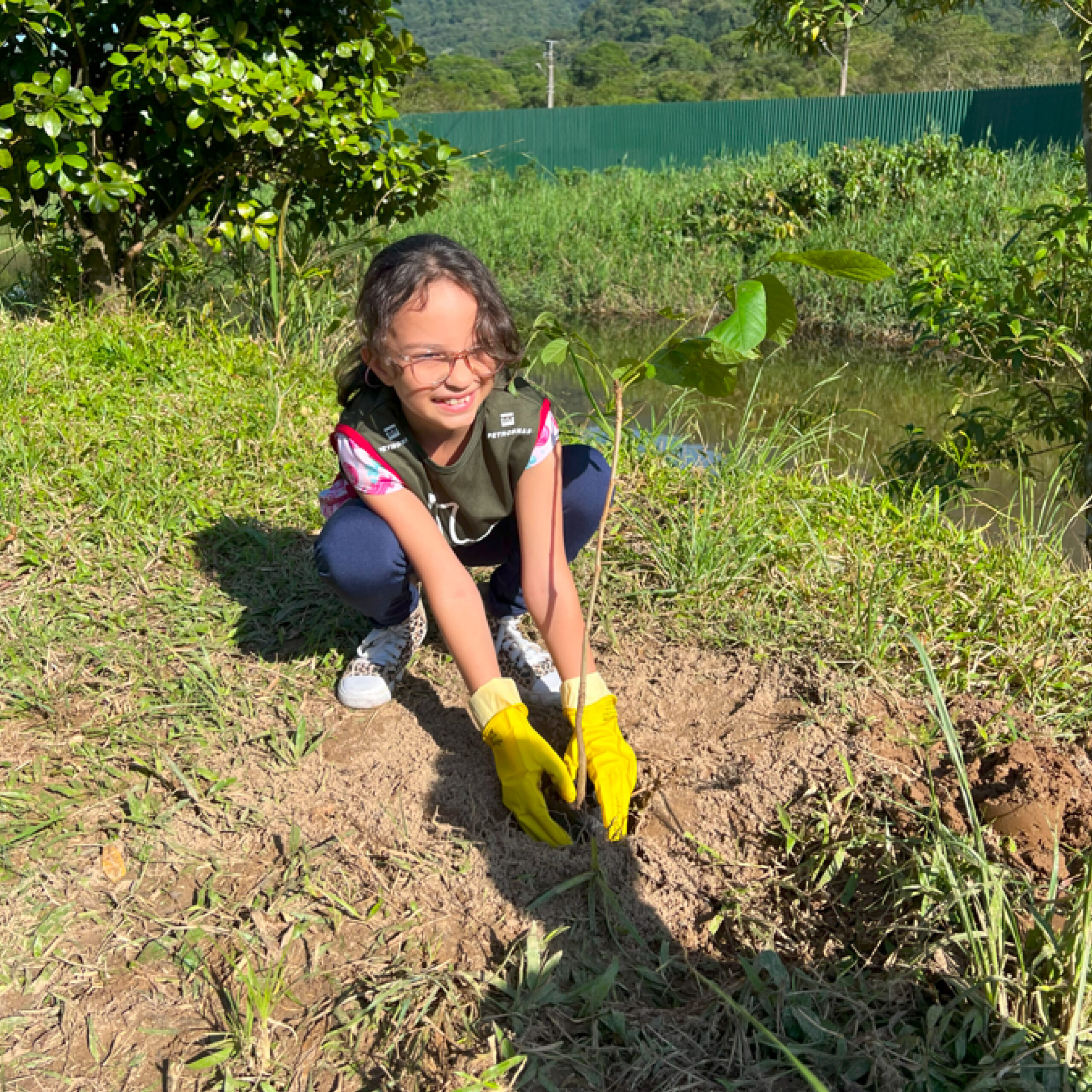 Parques Cotia Pará e Perequê recebem plantio de 100 mudas de árvores