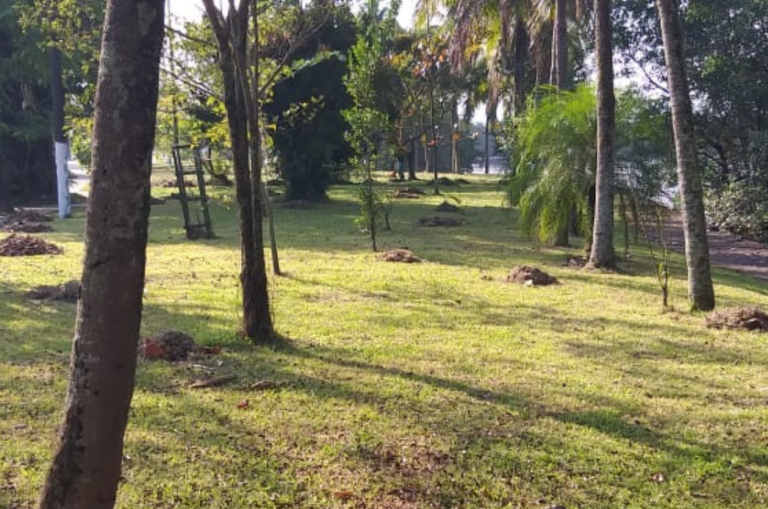 Cronograma dos serviços de manutenção desta segunda-feira (28)