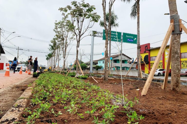 Jardim Casqueiro recebe plantio de árvores nativas na Av. Joaquim Jorge Peralta