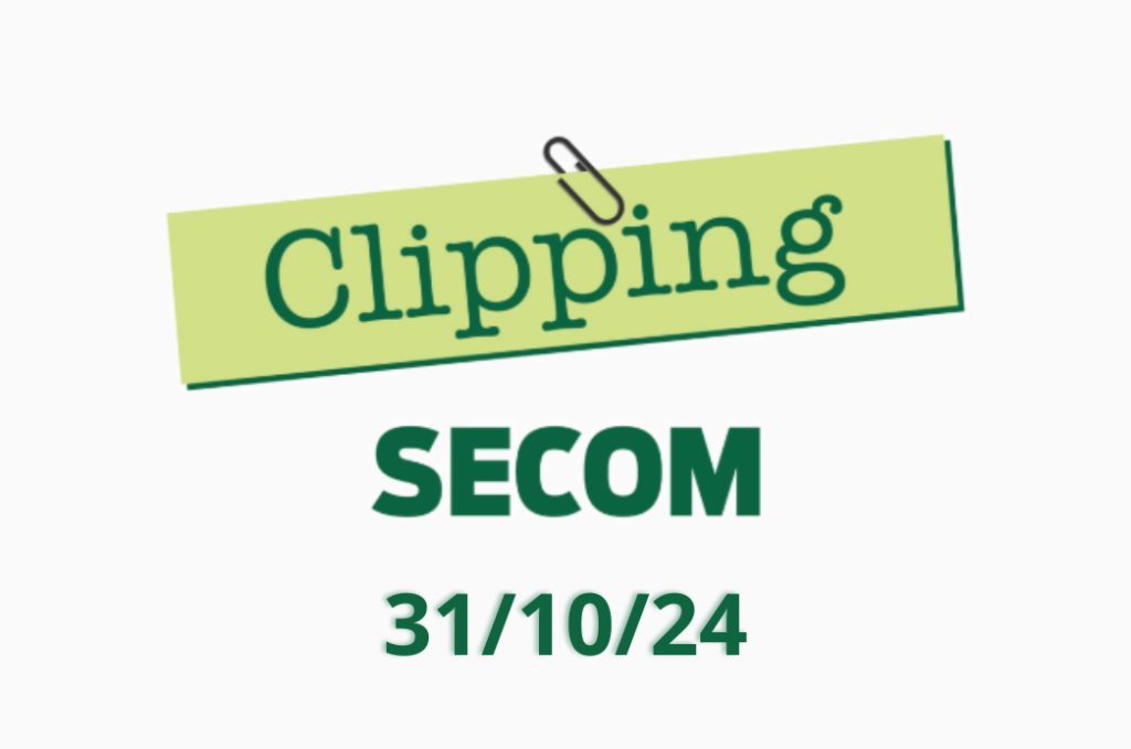 Clipping 31/10/24