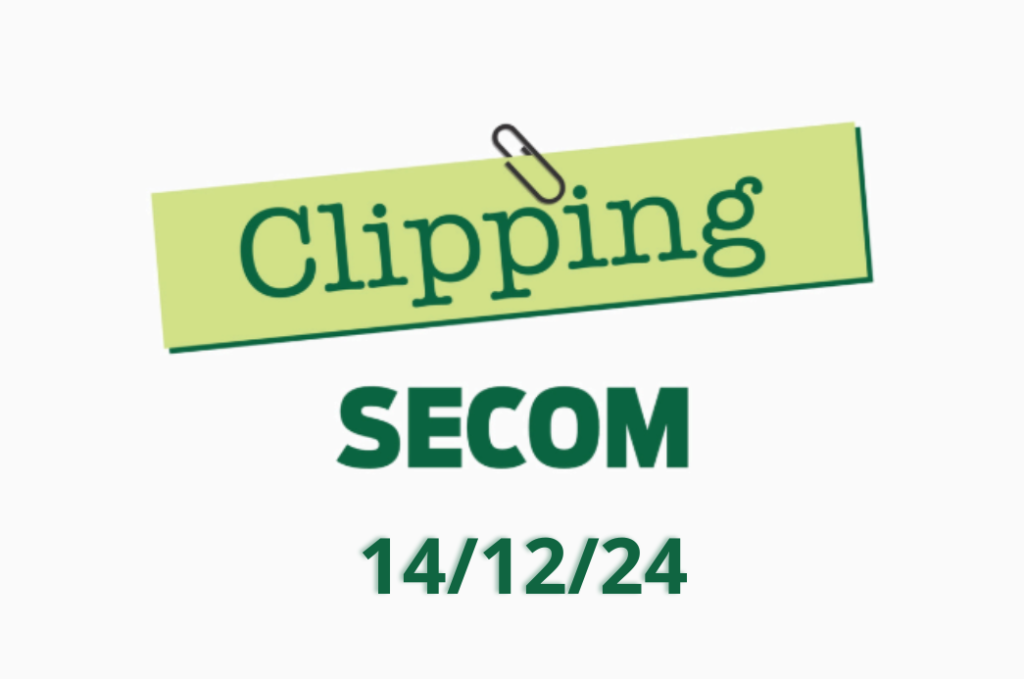 Clipping 14/12/24