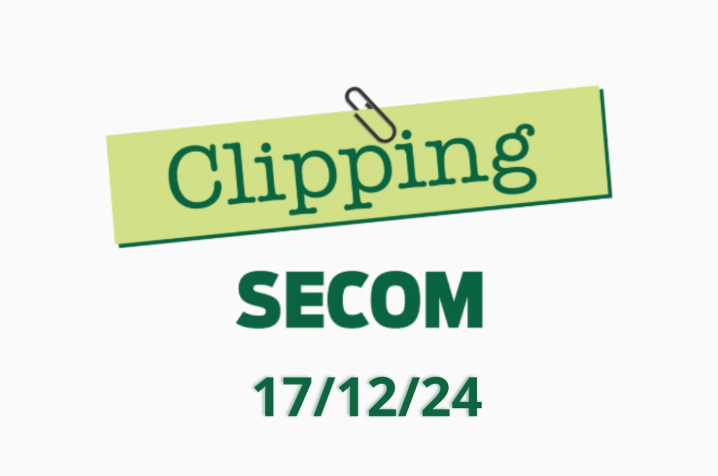 Clipping 17/12/24