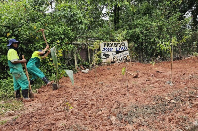 Prefeitura limpa terrenos e planta 150 mudas de árvores no lugar onde antes havia entulho