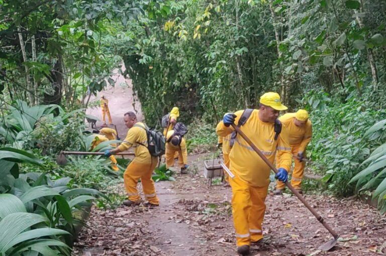 Zeladoria em Cubatão – serviços percorreram diversos bairros do município