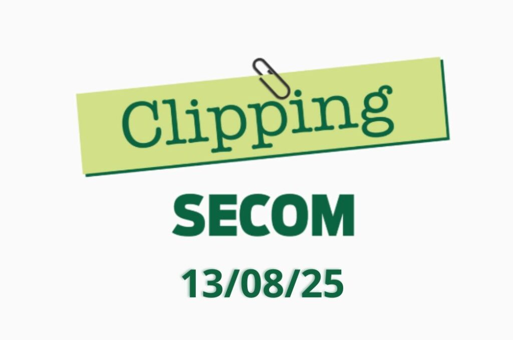 Clipping 13.08.2025