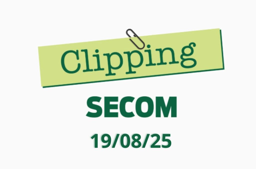 Clipping 19.08.2025