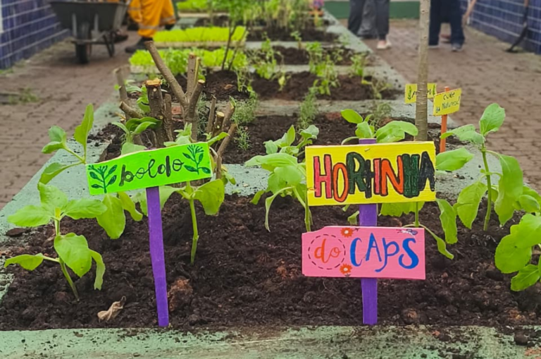 Complexo de Saúde Mental ganha horta comunitária voltada aos munícipes atendidos pelo Serviço