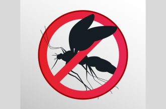 dia d dengue