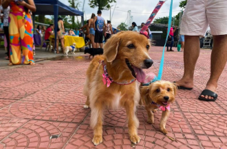 Cópia de FOTO EM DESTAQUE (4)