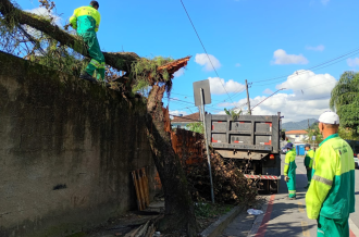 Cópia de FOTO EM DESTAQUE (58)