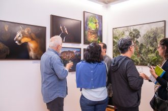 Cópia de Fotos site (9)