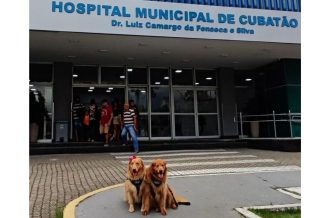 Fotos site (43)