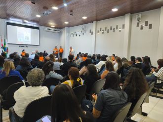 plano de enfrentamento violência infantojuvenil (22)